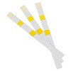 Poolmaster Smart Test 4 Way Swimming Pool and Spa Water Test Strips - 50pc - 3 of 4