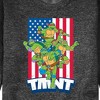 Men's - Teenage Mutant Ninja Turtles - USA Turtles Graphic Fleece Sweatshirt - 2 of 4