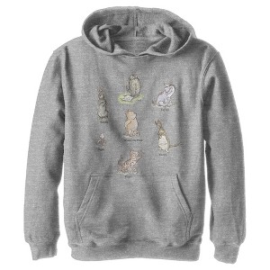 Boy's Winnie the Pooh Storybook Character Posters Pull Over Hoodie - 1 of 4