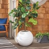 Mora Planter Pot - Indoor/Outdoor - PAT1534 - Safavieh - 2 of 4