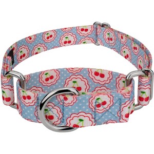 Country Brook Petz Martingale Dog Collar - Spring Collection - 1 of 4