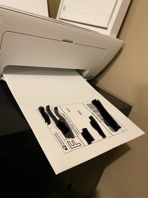Guest review image 4 of 4, zoom in