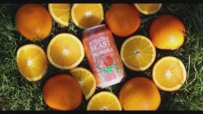 Strainge Beast Mimosa - 6pk/12 fl oz Cans : Target