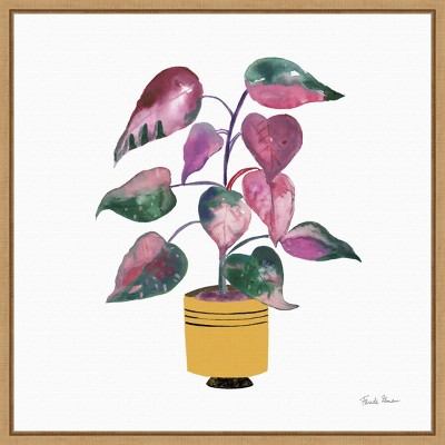 16" x 16" Potted Jewel Houseplant II by Farida Zaman Framed Wall Canvas - Amanti Art