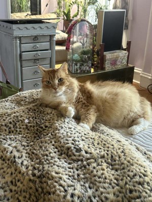 Guest review image 4 of 6, zoom in