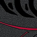 georgia bulldogs uga