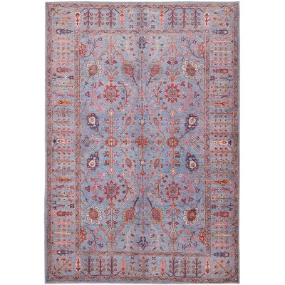 Rawlins Transitional Oriental Gray/Blue/Red Area Rug