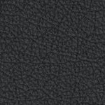 west virginia mountaineers