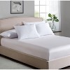 Down Home | Two Pack SpringLoft Pillow King - 2 of 3