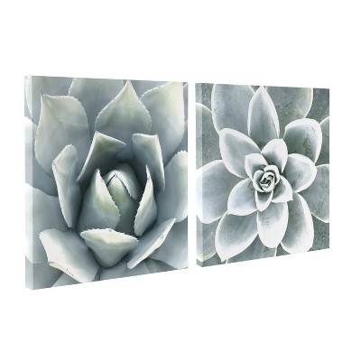 (Set of 2) 20" x 20" Soft Botanical Succulents by The Creative Bunch Studio Unframed Wall Canvas Set - Kate & Laurel All Things Decor