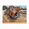 Trademark Fine Art - Ralph Meznar Bull Ride Matted Framed Art - 3 of 4