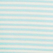 misty aqua mini stripe
