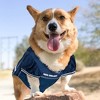 NFL New England Patriots Pets First Mesh Pet Football Jersey - Navy S - 3 of 4