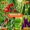 VEVOR 4 Packs Tomato Cages for Garden, 63 inch Tomato Trellis Plant Stakes Support, Stackable Tall Plant Support Cage, for Raised Garden Bed, Green - 3 of 4