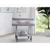 Simmons Kids' Shooting Star Rocking Bassinet with Airflow Mesh - Platinum - 2 of 4