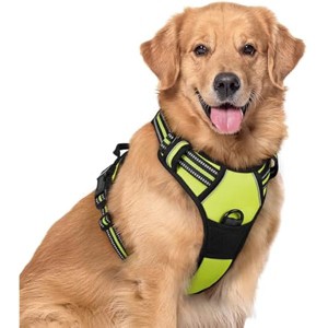 rabbitgoo Dog Harness No Pull with 2 Leash Clips, Control Handle for Large Dogs, Green, XL - 1 of 1