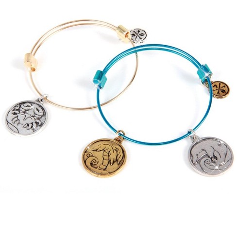 Alex and ani sales pharmacy bracelet