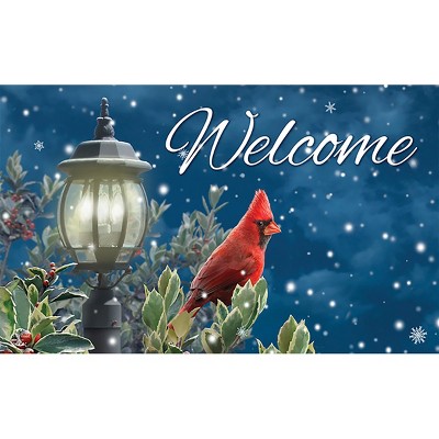 Briarwood Lane Snow Day Cardinals Winter Doormat Birdhouse Indoor / Outdoor  30 X 18 : Target