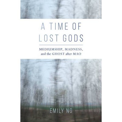 A Time of Lost Gods - by  Emily Ng (Paperback)