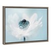 Amanti Art 23" x 16" Candy floss Framed Canvas Wall Art: Jacky Parker Floral Print, Modern Home Decor, Polystyrene Frame - image 2 of 4