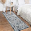 Vintage Medallion Area Rug Indoor Non-Shedding Stain Resistant Rugs Carpet Floral Rugs for Living Room Bedroom - 3 of 4