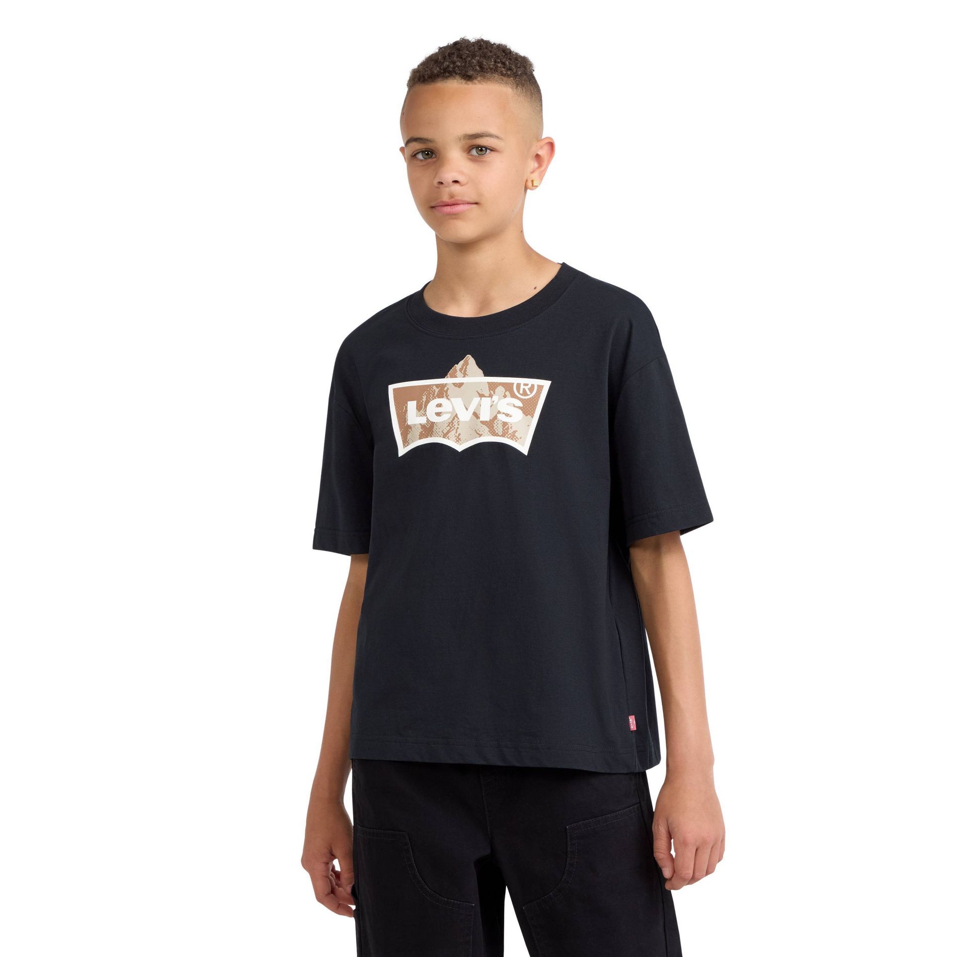 Levi's® Boys' Mountain Peak Batwing Logo Graphic T-Shirt - Black L