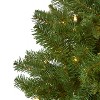 5ft. Spruce Artificial Christmas Tree with 200 Warm White Lights and 461 Bendable Branches – Perfect Small-Space Tree - 3 of 4