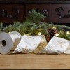 Melrose Wired Polyester Ribbon 4" x 5 yds. (Set of 2) - 3 of 3