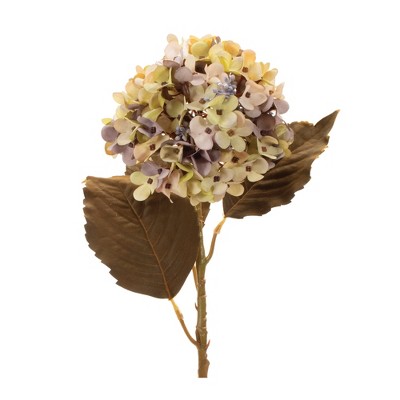Melrose Harvest Hydrangea Stem (Set of 6)