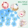 Unique Bargains Silk Artificial Cherry Blossom Flower Heads Wedding DIY Crafts 150 Pcs - 4 of 4