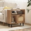 Costway Boho Rattan Nightstand Wooden End Table with Storage Shelf Cabinet & Metal Legs - 2 of 4