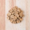 Earthborn Holistic EarthBites Salmon & Pumpkin Grain-Free Crunchy Dog Treats - 10 oz - 2 of 4