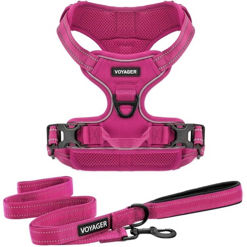 Dog harness sale and leash combo