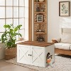 Cat Litter Box Enclosure - Hidden Furniture with Removable Divider - Indoor Cat House,  End Table - 31.5 x 20.9 x 19.7 Inches - 3 of 4