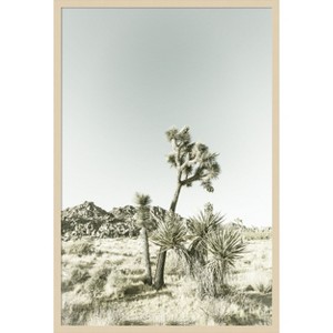 Amanti Art Joshua Tree National Park Vintage Impression by Melanie Viola Wood Framed Wall Art Print - 1 of 4