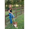 Country Brook Petz 6 Foot Dog Leash - Chevron and Arrows Collection - 3 of 4