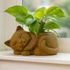 Classic Home and Garden Cement Buddies Indoor/Outdoor Planter with Drainage Hole, Sleeping Cat - 3 of 3