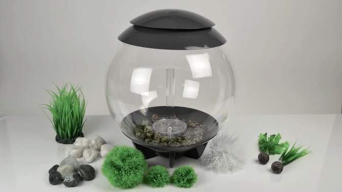 biOrb Grass Ring Aquarium Artificial Plants, 2 of 7, play video