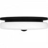 Quoizel Lighting Tavani 1 - Light Flush Mount in  Matte Black - 4 of 4
