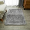 Faux Fur Non-Slip Fluffy Living Room Rug, 30" x 46" - 2 of 4