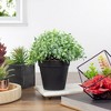 Northlight 7.5" Potted Green Artificial Boxwood Plant - 2 of 4