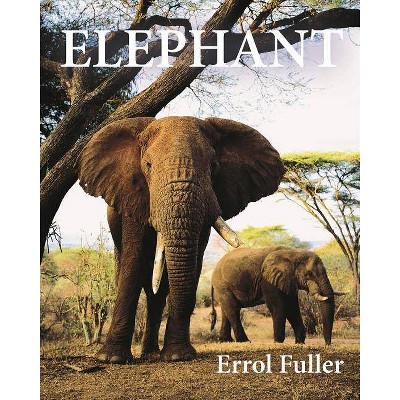 Elephant - by  Errol Fuller (Hardcover)