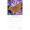2026 Square Wall Calendar, Butterflies, 16-Month Animals Theme with 180 Reminder Stickers (12x12 In) - 3 of 4