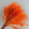 Alilang Decorative Dried Ming Fern Stems for Elegant Home Decoration and Creative Floral Arrangements, 19.5 Inches - 2 of 3