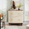 Tribesigns Saddle Leather 2-Drawer File Cabinet - 3 of 4