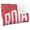Laguardia Community College Fan Zone Silky Touch Super Soft Throw Blanket 50x60 - 3 of 4