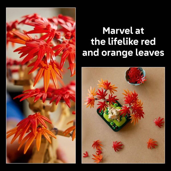 LEGO Botanicals Bonsái de Arce Rojo Japonés Árbol 10348 3