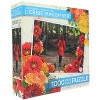 The Canadian Group Debbie Macomber 1000 Piece Jigsaw Puzzle | Forest Walk - 3 of 4