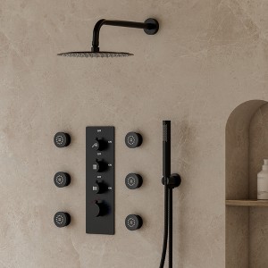 CRANACH Thermostatic Valve 12 in. Wall Mount 7-Spray Shower Faucet With 6-Jets - 1 of 4