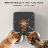 Double Automatic Cat Feeder for 2 Cats, Timed Food Dispenser with 2 Stainless Steel Bowls - 3 of 4